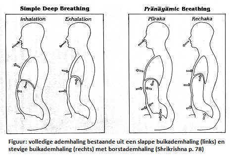 pranayama: slappe en stevige buikademhaling