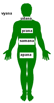 5 prana's