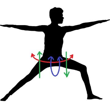 Kneepje: microbewegingen maken de heupen flexibel