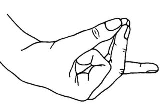 Hridaya mudra in combinatie met de SAUH mantra